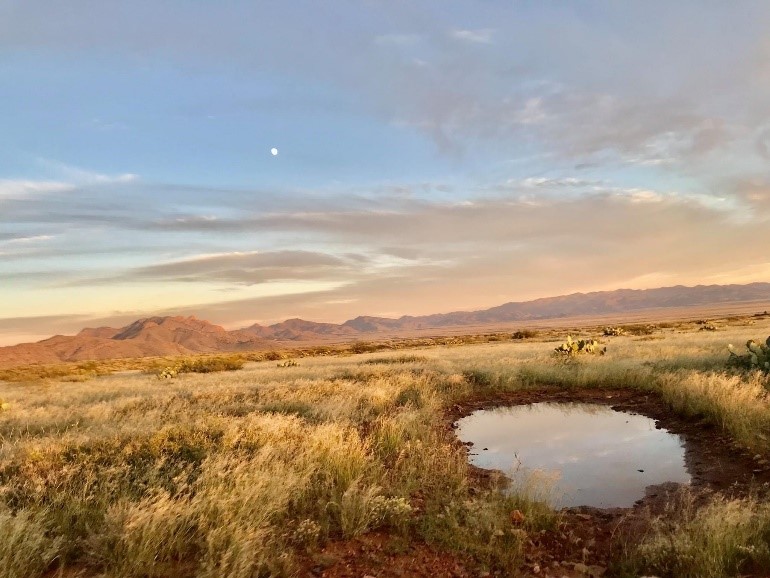 Cienega Ranch 3 U.S. Geological Survey